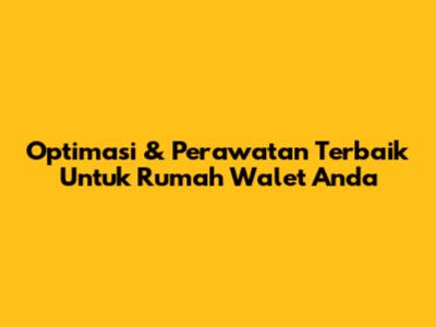 Optimasi & Perawatan Terbaik Untuk Rumah Walet Anda