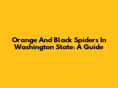Orange And Black Spiders In Washington State: A Guide