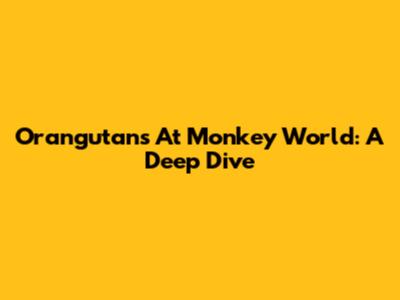 Orangutans At Monkey World: A Deep Dive