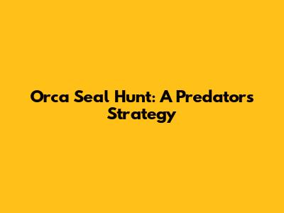 Orca Seal Hunt: A Predator's Strategy
