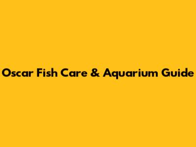 Oscar Fish Care & Aquarium Guide