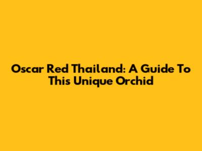 Oscar Red Thailand: A Guide To This Unique Orchid