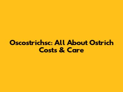 Oscostrichsc: All About Ostrich Costs & Care