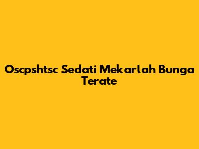 Oscpshtsc Sedati Mekarlah Bunga Terate