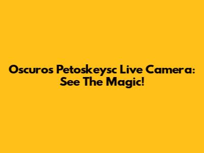Oscuros Petoskeysc Live Camera: See The Magic!