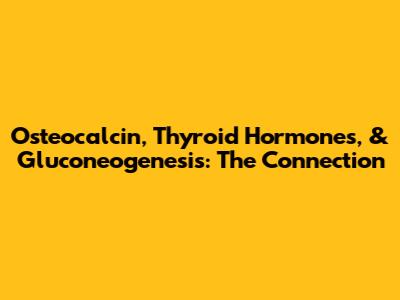 Osteocalcin, Thyroid Hormones, & Gluconeogenesis: The Connection