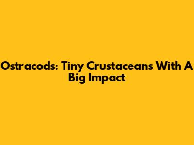 Ostracods: Tiny Crustaceans With A Big Impact