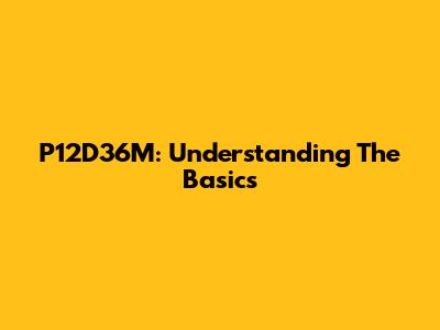 P12D36M: Understanding The Basics