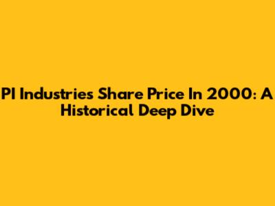 PI Industries Share Price In 2000: A Historical Deep Dive