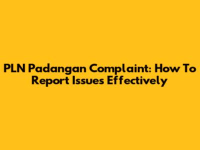 PLN Padangan Complaint: How To Report Issues Effectively