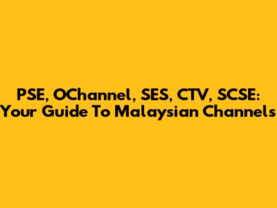 PSE, OChannel, SES, CTV, SCSE: Your Guide To Malaysian Channels