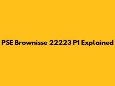 PSE Brownisse 22223 P1 Explained