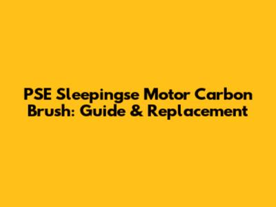 PSE Sleepingse Motor Carbon Brush: Guide & Replacement
