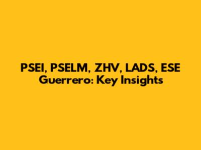 PSEI, PSELM, ZHV, LADS, ESE Guerrero: Key Insights