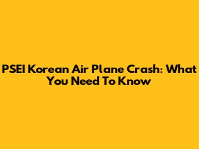 PSEI Korean Air Plane Crash: What You Need To Know