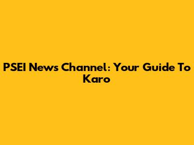 PSEI News Channel: Your Guide To Karo