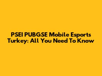 PSEI PUBGSE Mobile Esports Turkey: All You Need To Know