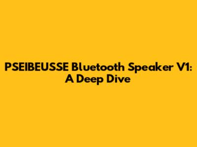 PSEIBEUSSE Bluetooth Speaker V1: A Deep Dive