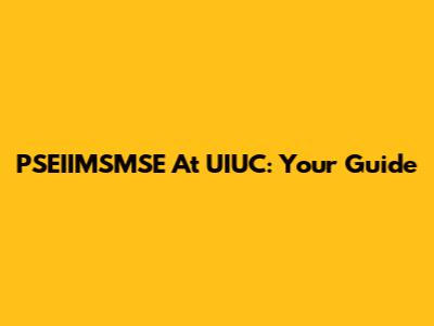 PSEIIMSMSE At UIUC: Your Guide