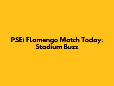 PSEi Flamengo Match Today: Stadium Buzz
