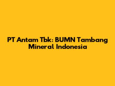 PT Antam Tbk: BUMN Tambang Mineral Indonesia