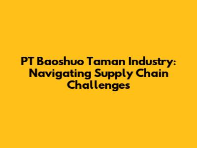 PT Baoshuo Taman Industry: Navigating Supply Chain Challenges