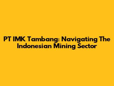 PT IMK Tambang: Navigating The Indonesian Mining Sector