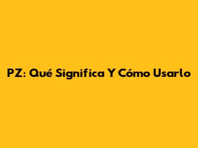 PZ: Qué Significa Y Cómo Usarlo