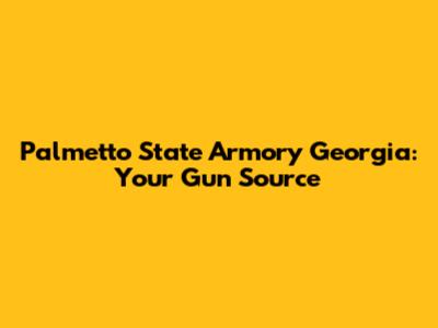 Palmetto State Armory Georgia: Your Gun Source