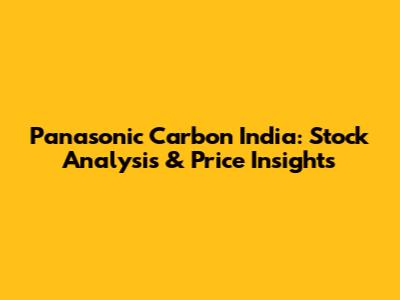 Panasonic Carbon India: Stock Analysis & Price Insights