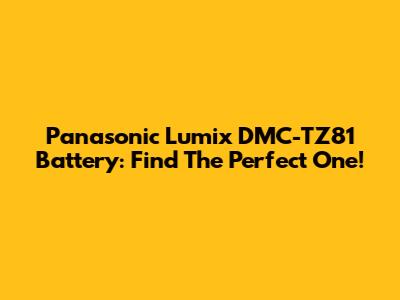 Panasonic Lumix DMC-TZ81 Battery: Find The Perfect One!