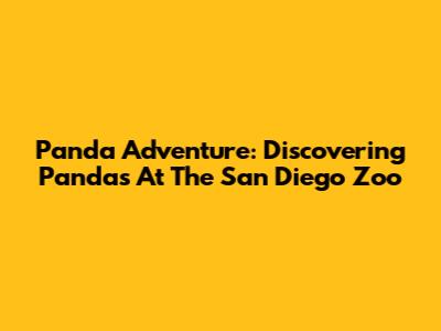 Panda Adventure: Discovering Pandas At The San Diego Zoo
