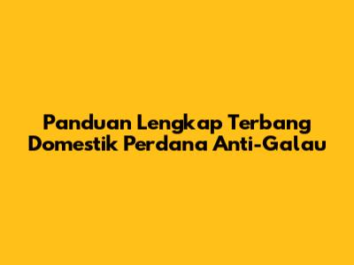 Panduan Lengkap Terbang Domestik Perdana Anti-Galau