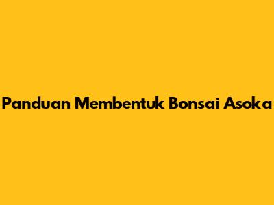 Panduan Membentuk Bonsai Asoka
