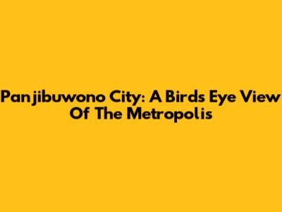 Panjibuwono City: A Bird's Eye View Of The Metropolis