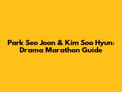 Park Seo Joon & Kim Soo Hyun: Drama Marathon Guide