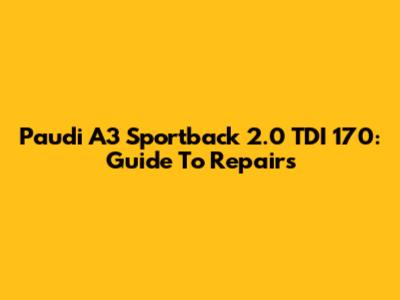 Paudi A3 Sportback 2.0 TDI 170: Guide To Repairs