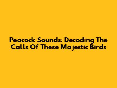 Peacock Sounds: Decoding The Calls Of These Majestic Birds
