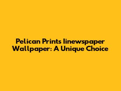 Pelican Prints' Iinewspaper Wallpaper: A Unique Choice
