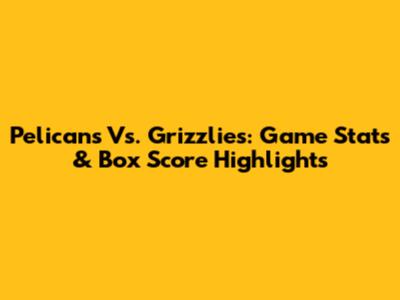 Pelicans Vs. Grizzlies: Game Stats & Box Score Highlights