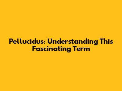 Pellucidus: Understanding This Fascinating Term