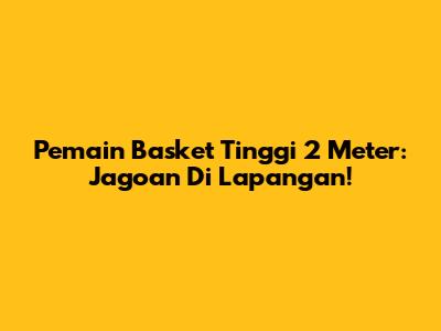 Pemain Basket Tinggi 2 Meter: Jagoan Di Lapangan!
