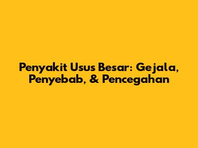 Penyakit Usus Besar: Gejala, Penyebab, & Pencegahan