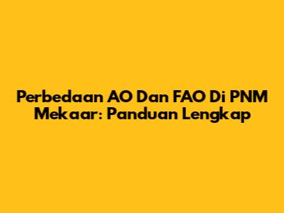 Perbedaan AO Dan FAO Di PNM Mekaar: Panduan Lengkap