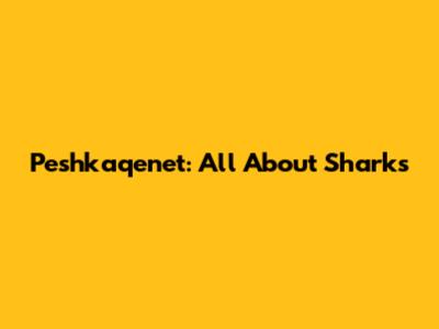 Peshkaqenet: All About Sharks