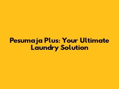 Pesumaja Plus: Your Ultimate Laundry Solution