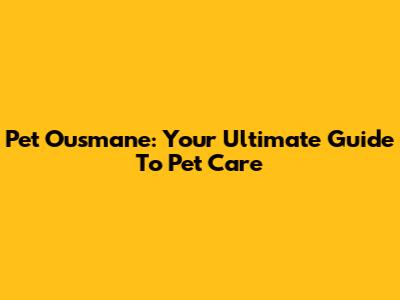 Pet Ousmane: Your Ultimate Guide To Pet Care