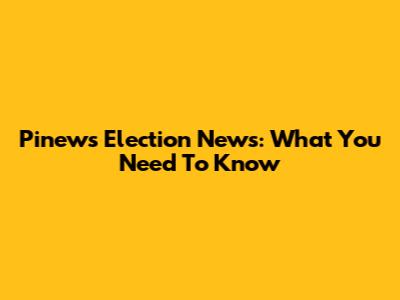 Pinews Election News: What You Need To Know
