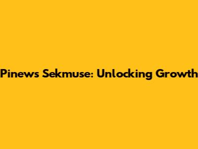 Pinews Sekmuse: Unlocking Growth