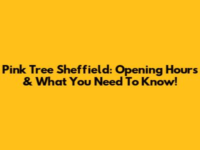 Pink Tree Sheffield: Opening Hours & What You Need To Know!